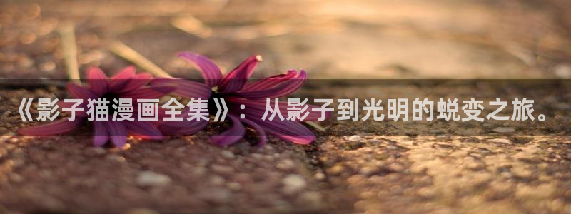 天堂漫画免费漫画网页