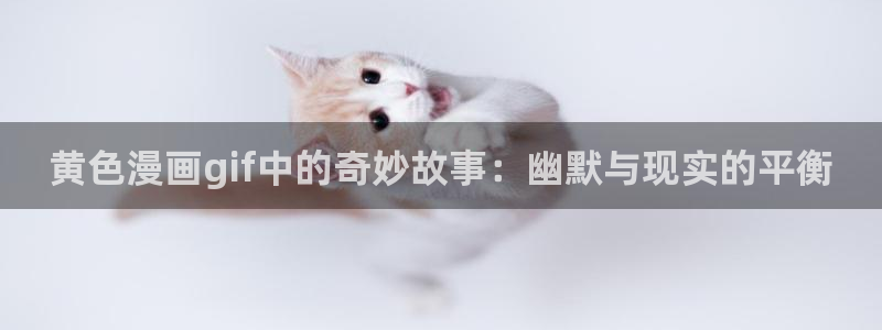 天堂漫画网站进入