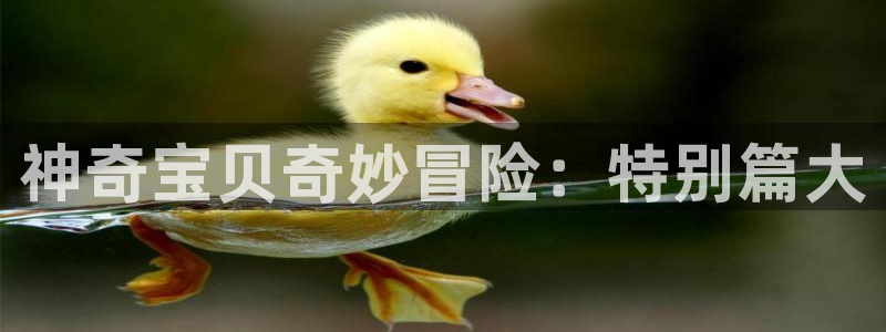 平行天堂漫画免费看